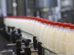 В Рязанской области модернизируют молочные заводы
